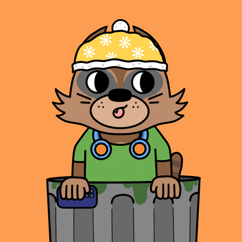 RACCOONOD #3