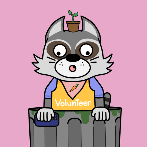 RACCOONOD #5